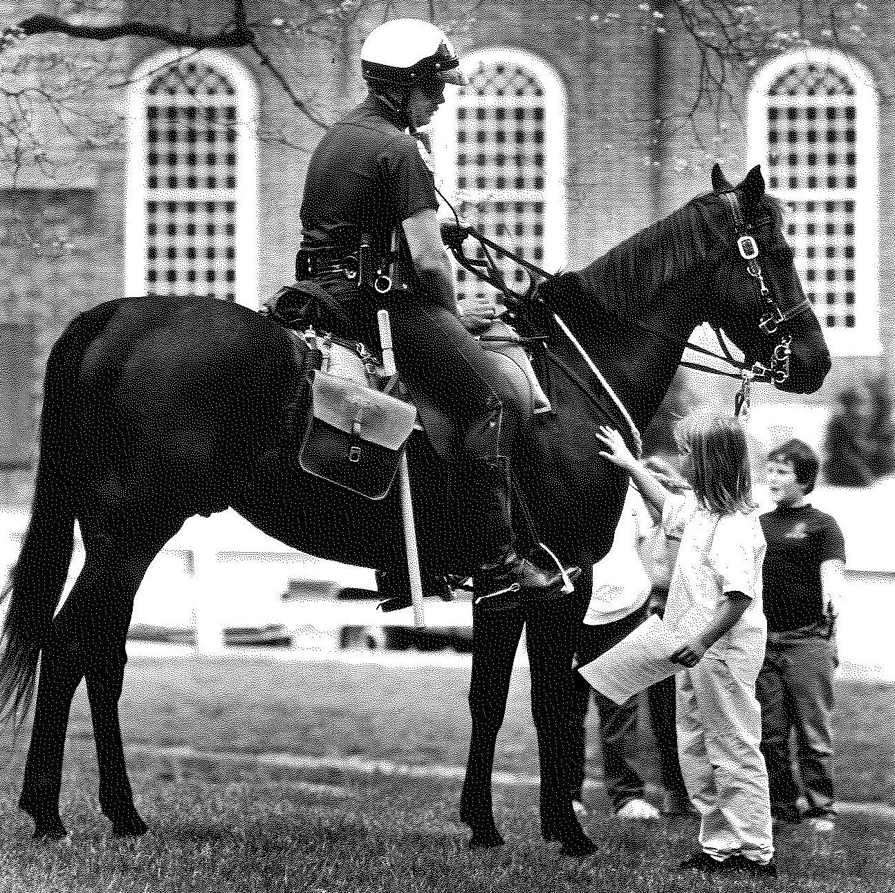 Police horses